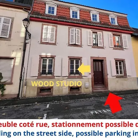Gite See You Soon - Studio Wood Sélestat Buitenkant foto