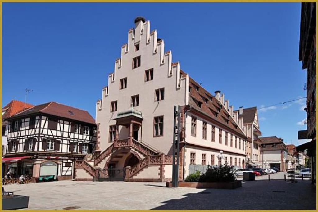 Apartment Soon - Wood Selestat